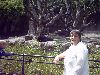 cliquez ici pour voir l'image (IMG00036.JPG)